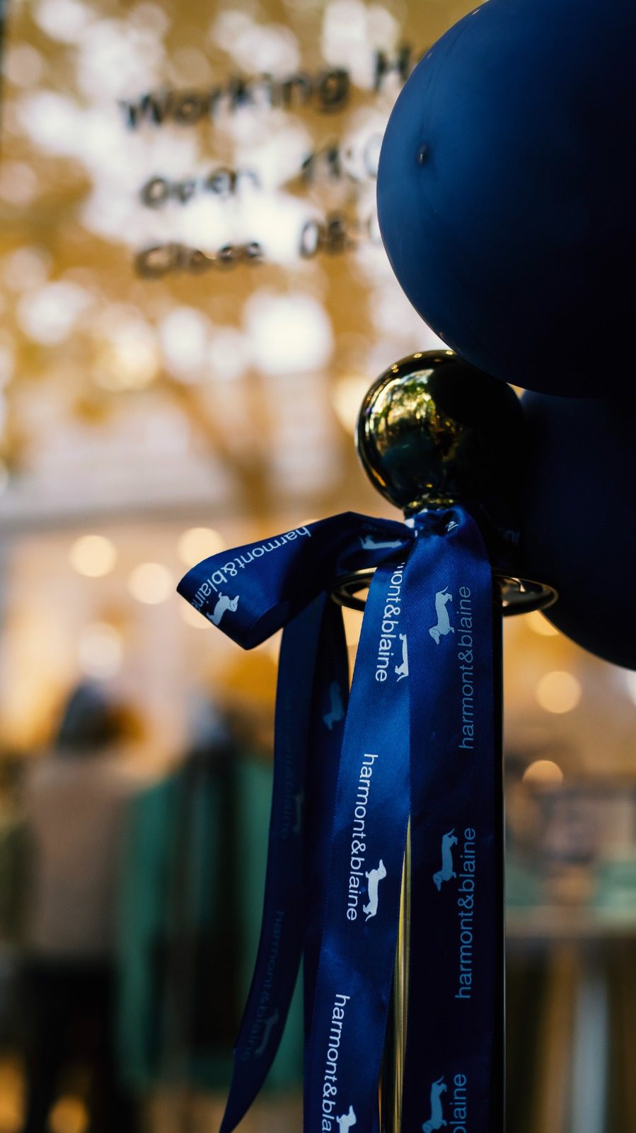 გახსნის ცერემონიალის ინვენტარი